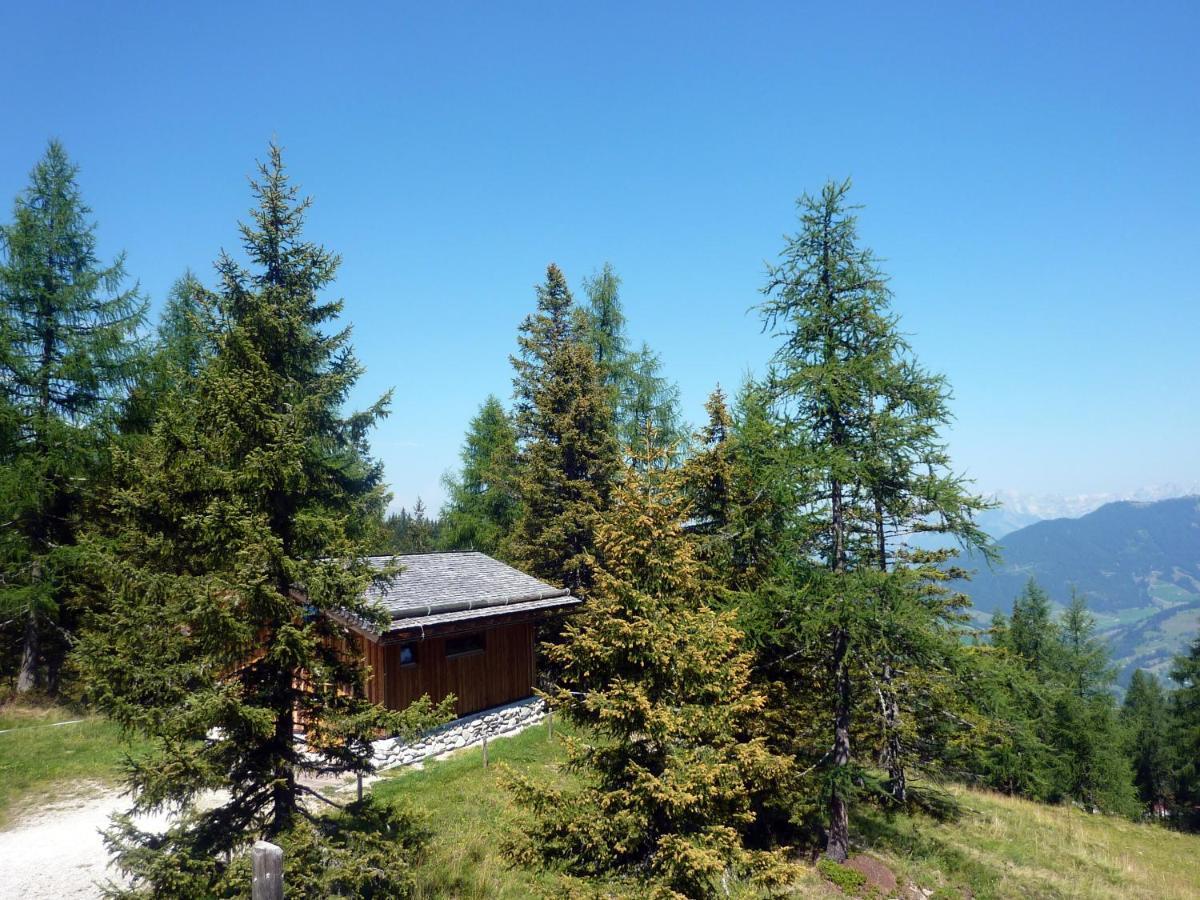 Appartement Haus Daniel Schartner à Kleinarl Extérieur photo